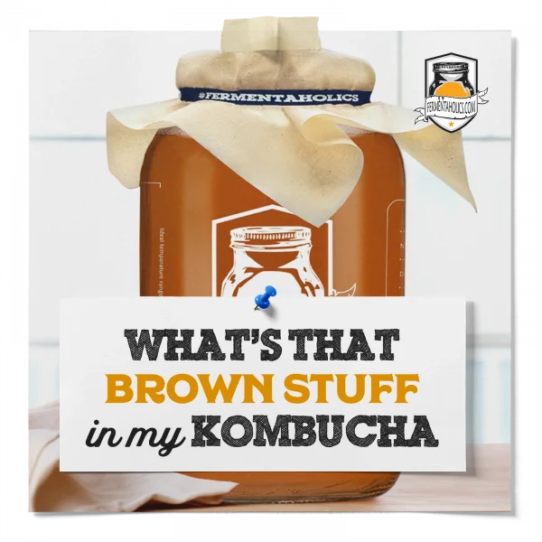 What'S That Brown Stuff In My Kombucha