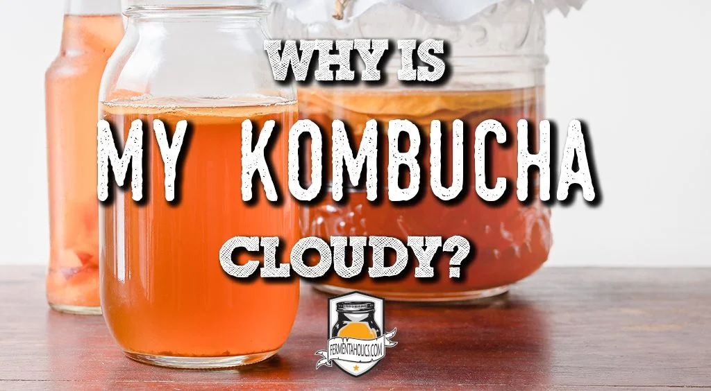 Why is my kombucha cloudy