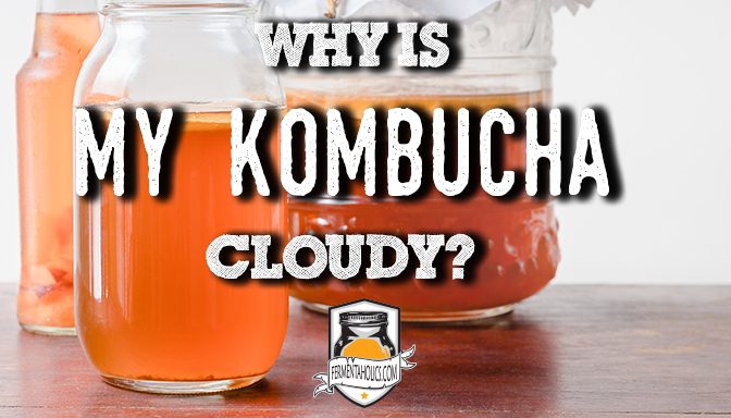 why is my kombucha cloudy