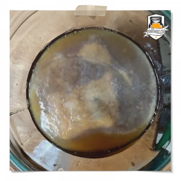 Pellicle