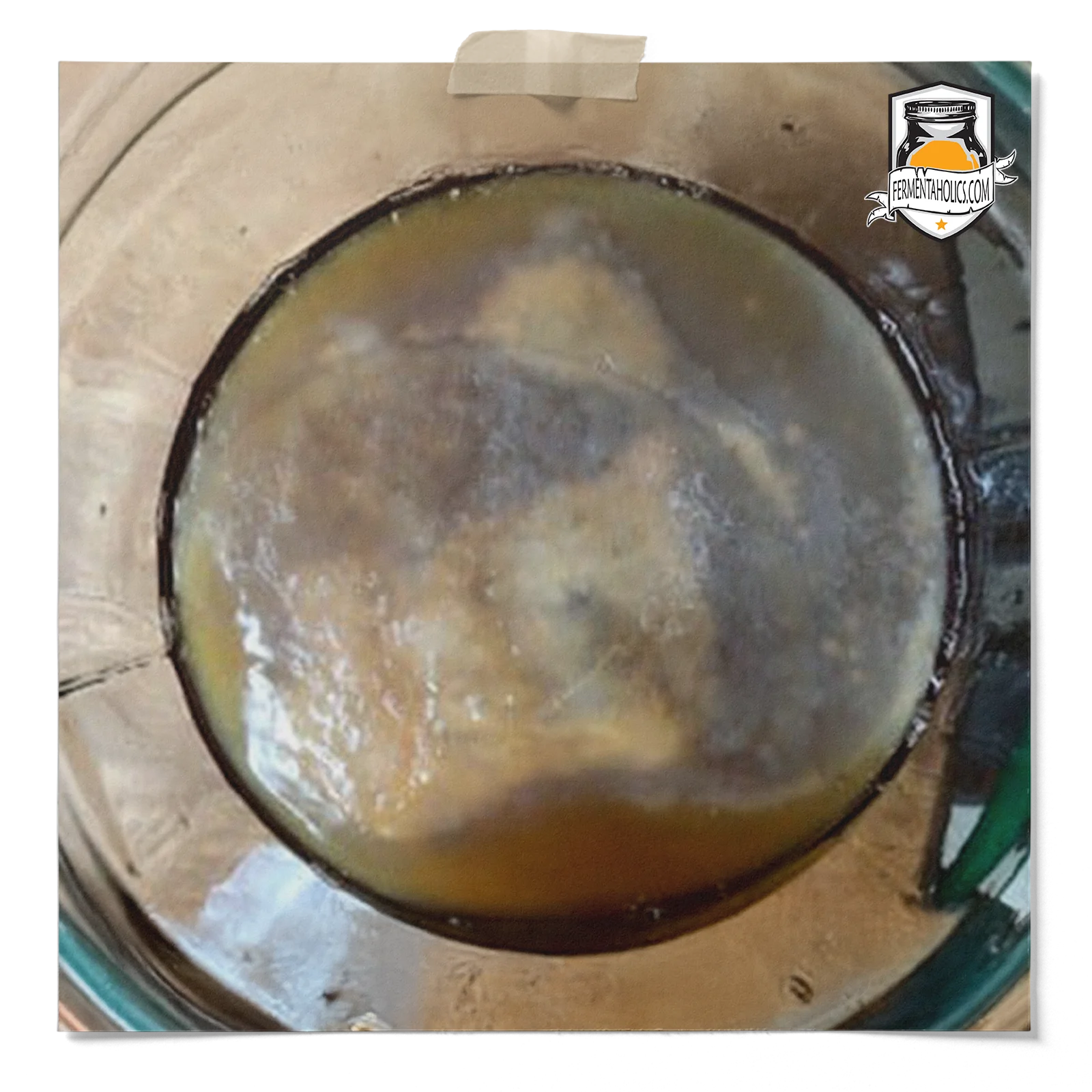 Pellicle