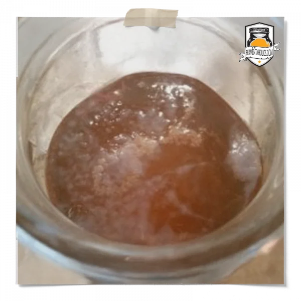 Scoby Pellicle