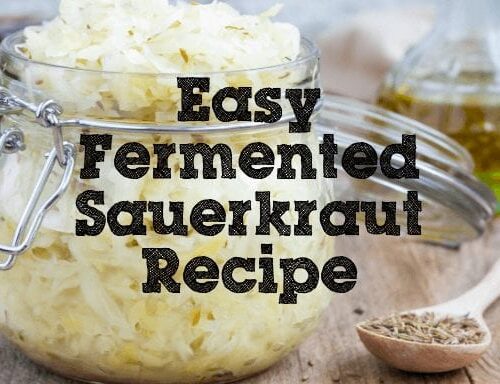 Easy Fermented Sauerkraut Recipe Fermentaholics