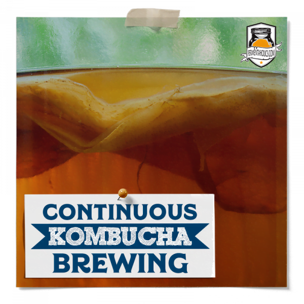 Continuous Brew Kombucha