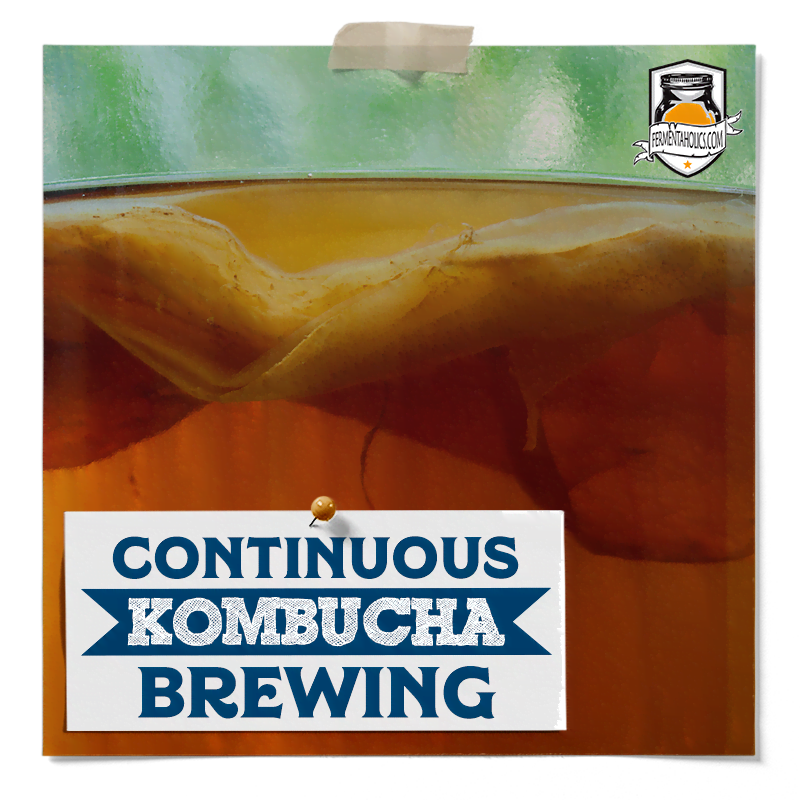 continuous brew kombucha
