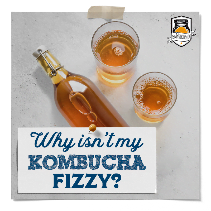 why is my kombucha not fizzy