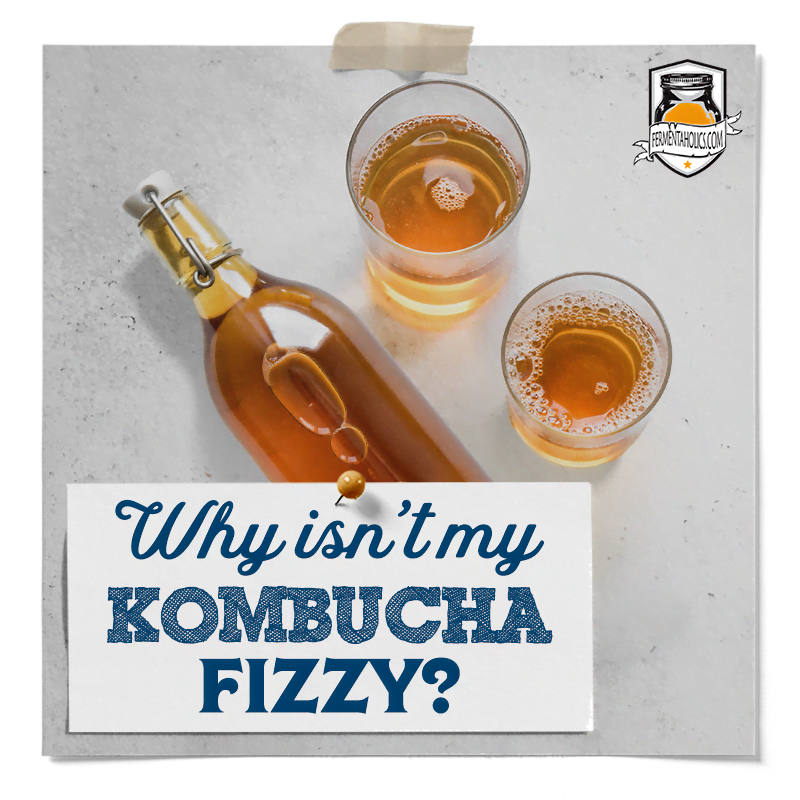 Why Is My Kombucha Not Fizzy