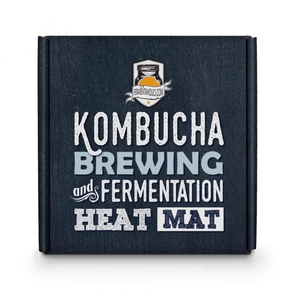 How to Brew Jun Kombucha Tea A Complete Simplified Guide