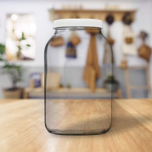plain gallon kombucha glass jar