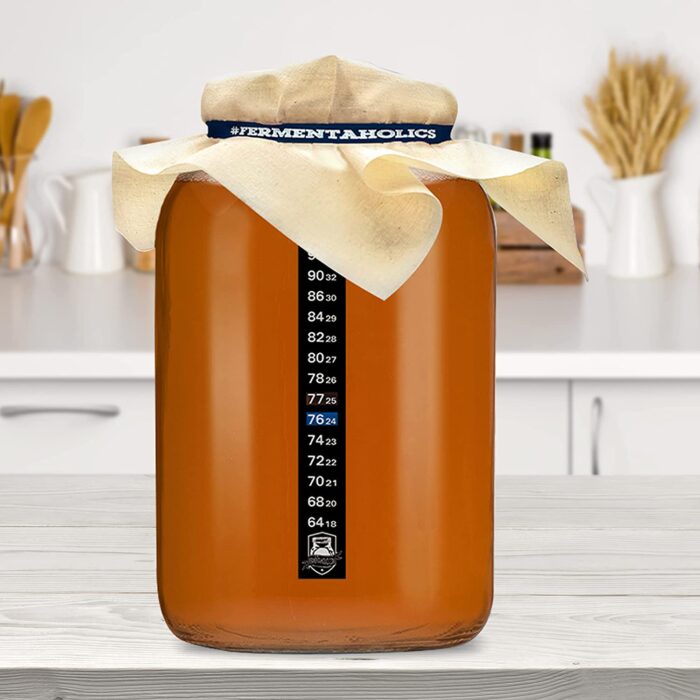 plain gallon kombucha glass jar