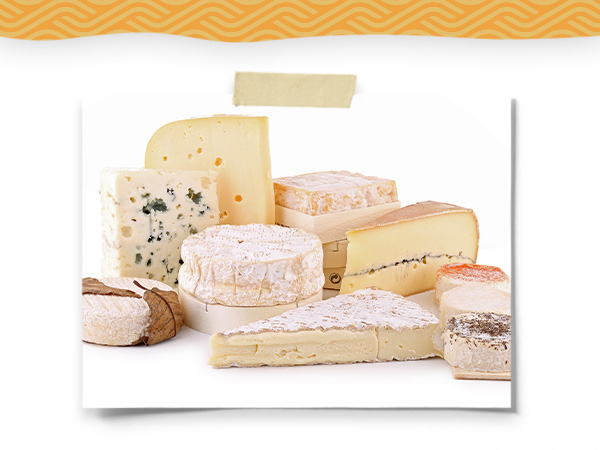Rennet Cheese Making