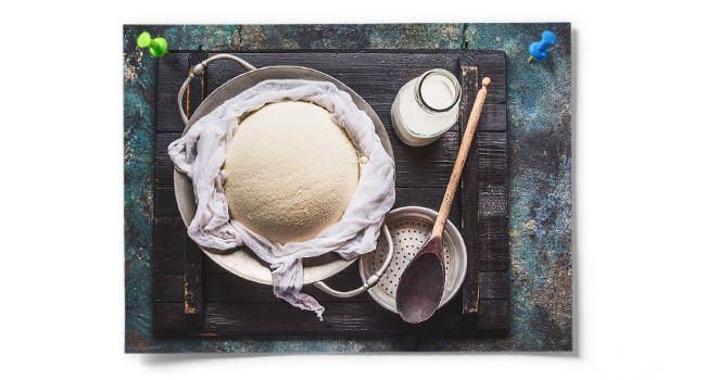 Rennet For Cheese Making
