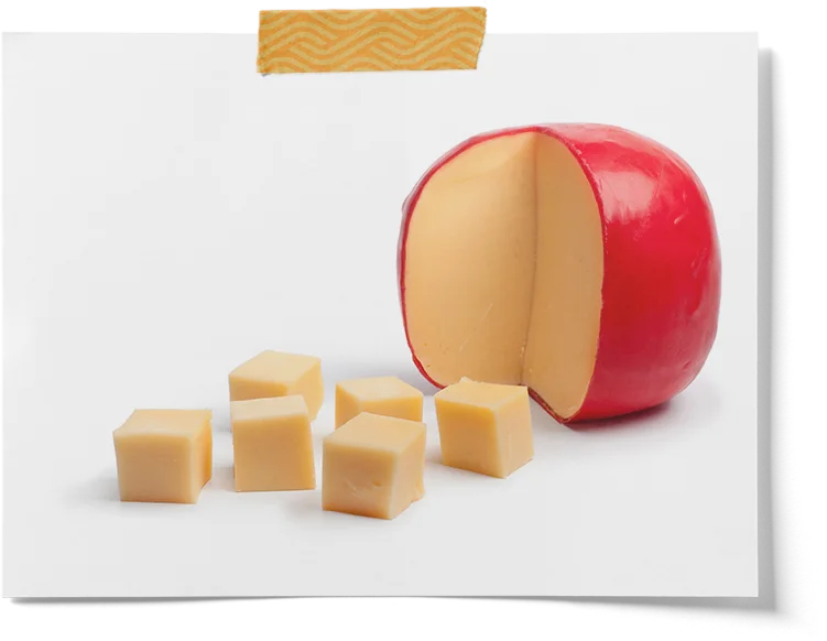 Microbial Rennet Cheese Enzymes