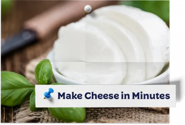 Microbial Rennet Tablets For Cheese Making