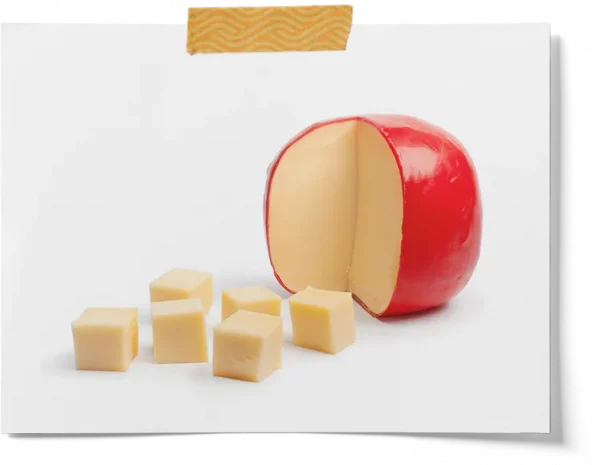 Food Grade Microbial Rennet Tablets