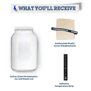 Gallon Jar 3 Piece Set