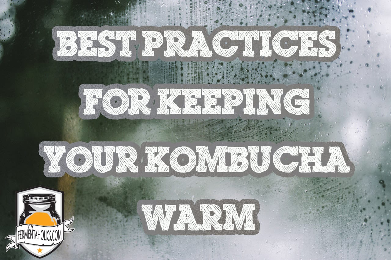 Best-Practices-For-Keeping-Your-Kombucha-Warm Best Practices For Keeping Your Kombucha Warm
