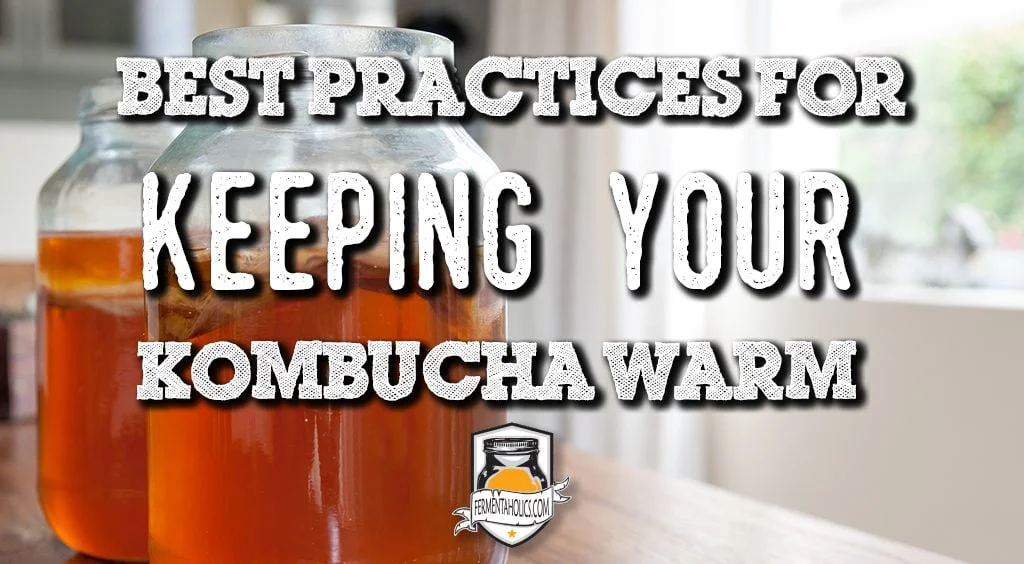 best practices for keeping your kombucha warm