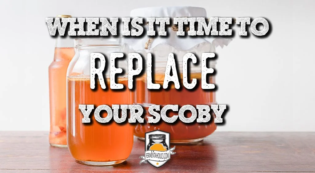 when is it time to replace your scoby