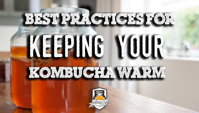 best practices for keeping your kombucha warm