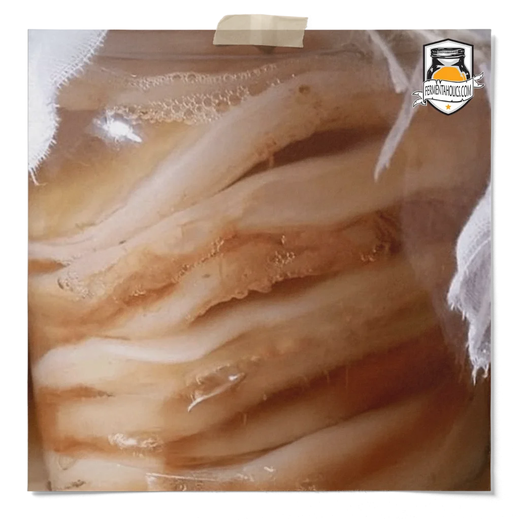 When To Replace Your Scoby