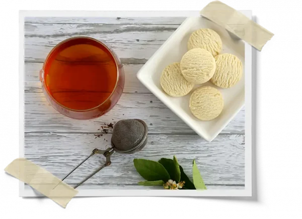 Air Kombucha Organic Tea Blend