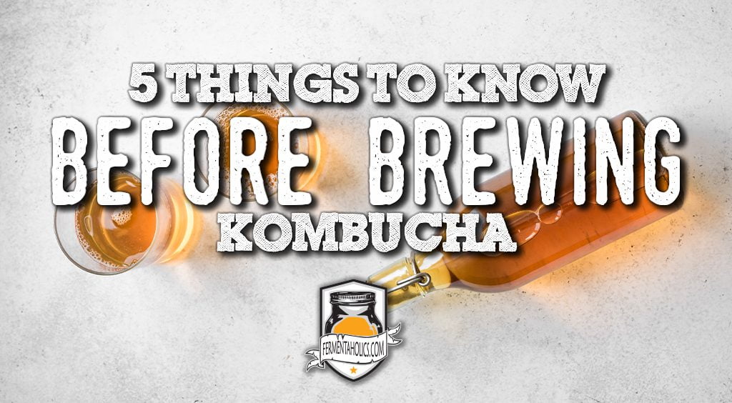5 things to know before brewing kombucha
