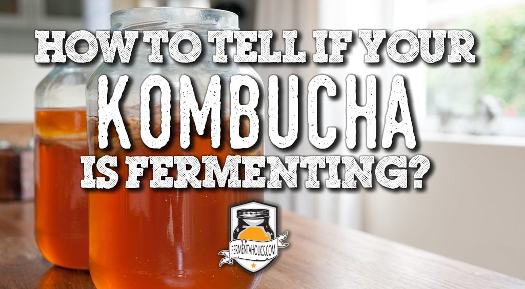 kombucha is fermenting
