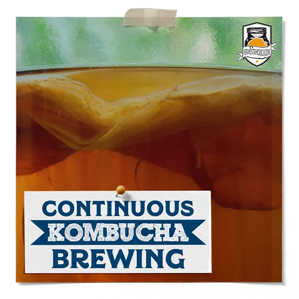 Continuous Kombucha Brewing