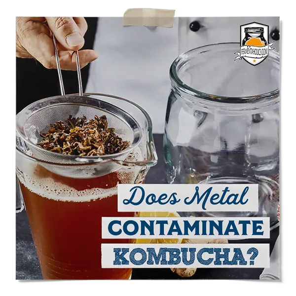 Does Metal Contaminate Kombucha