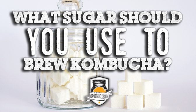 what sugar should you use to brew kombucha