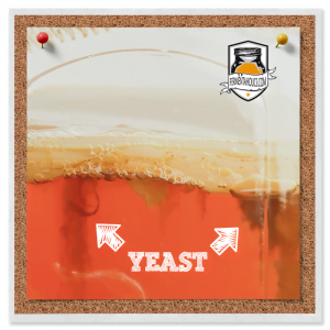 Yeast In My Kombucha