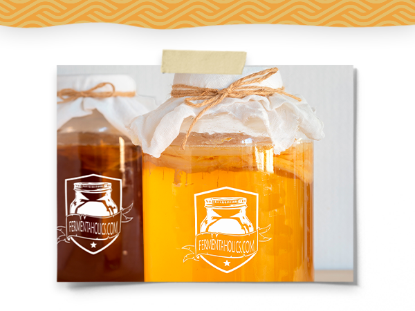 Fermentaholics Kombucha Element Tea Blends