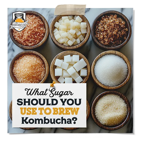 What Sugar Should You Use To Brew Kombucha