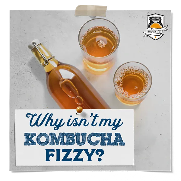Why Isn'T My Kombucha Fizzy