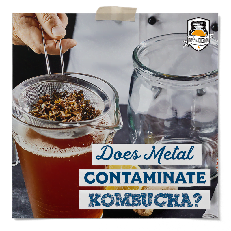 kombucha and metal