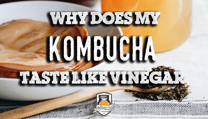 why does my kombucha taste like vinegar