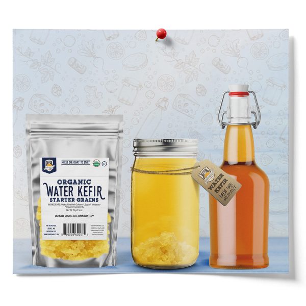Clear Kombucha Bottling