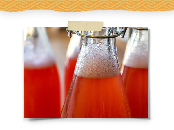 Kombucha Bottles