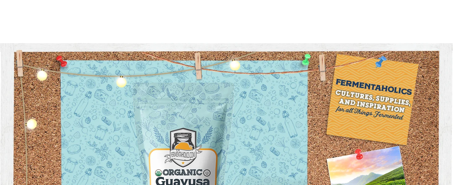 Guayusa