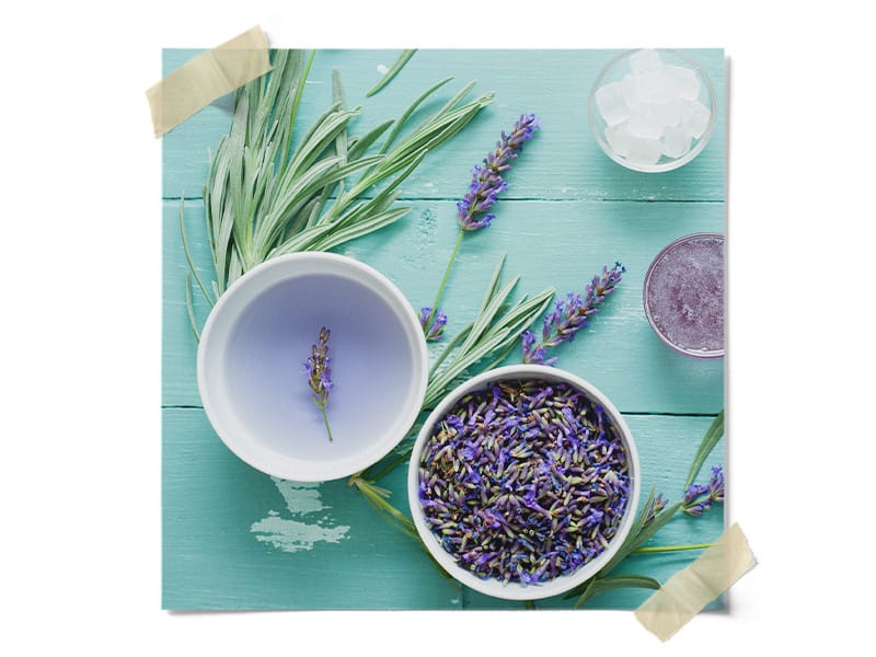 Dried Lavender
