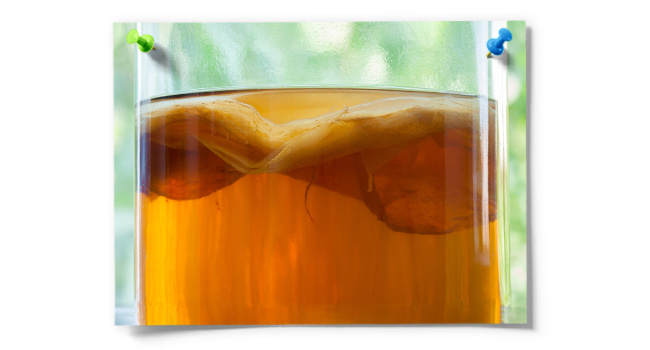 Yerba Mate Tea