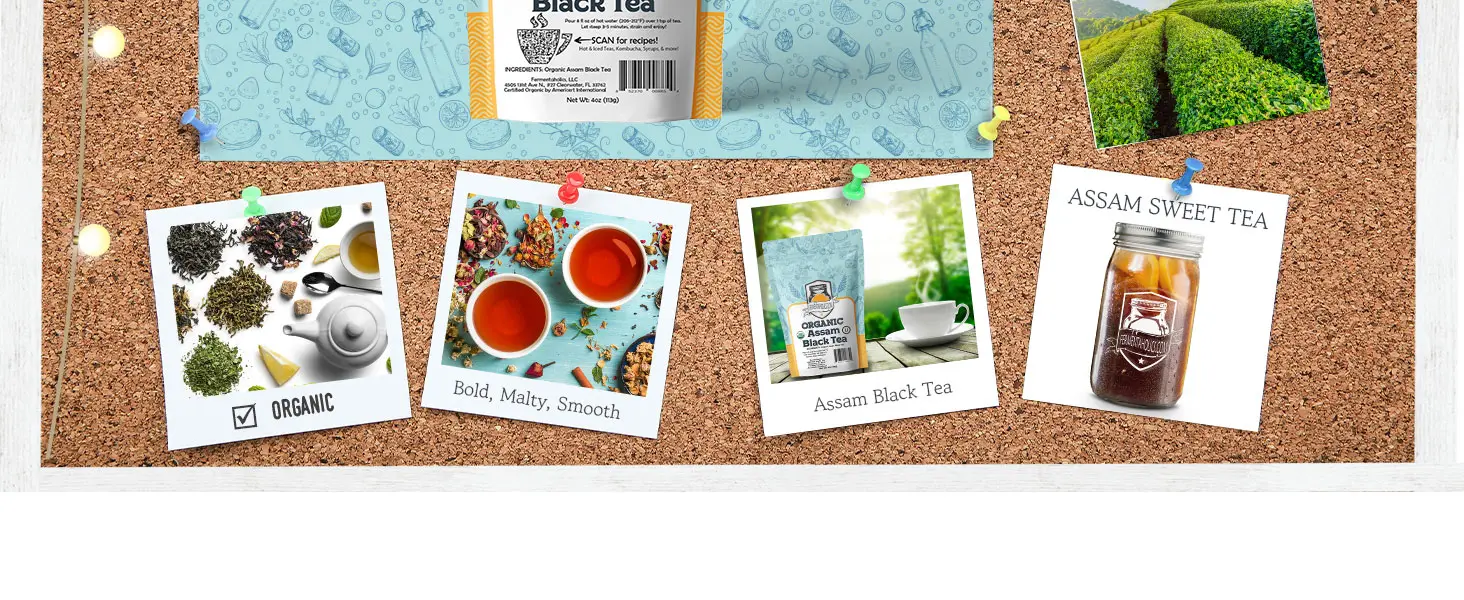 Assam Black Tea Kombucha