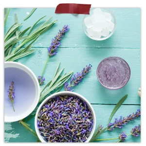 Dried Lavender Flowers