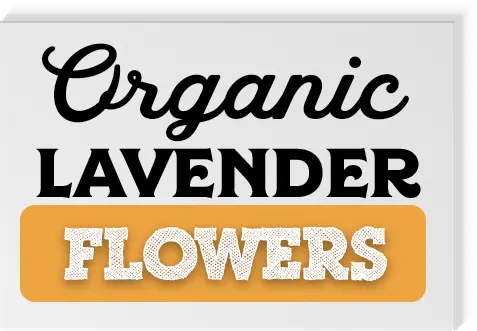 Organic Lavender Tea