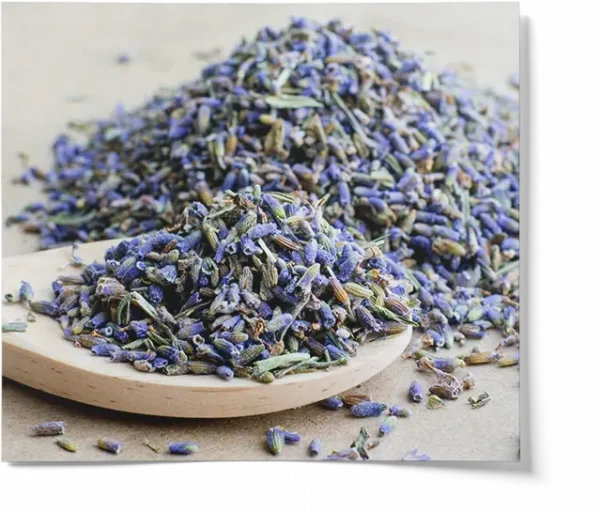 Organic Lavender Petals