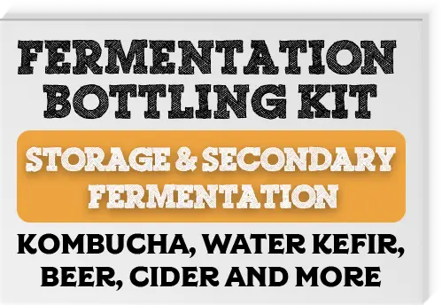 Clear Swing Top Bottling Kit