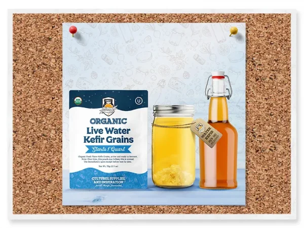 Kombucha Swing Style Bottling Kit