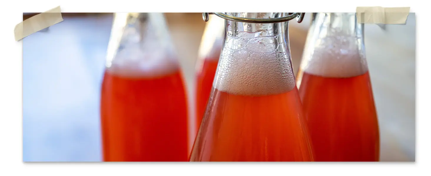 Swing Style Bottling Kit