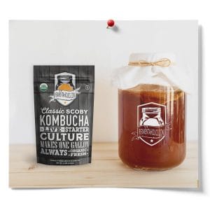 1-Gallon Kombucha Kit